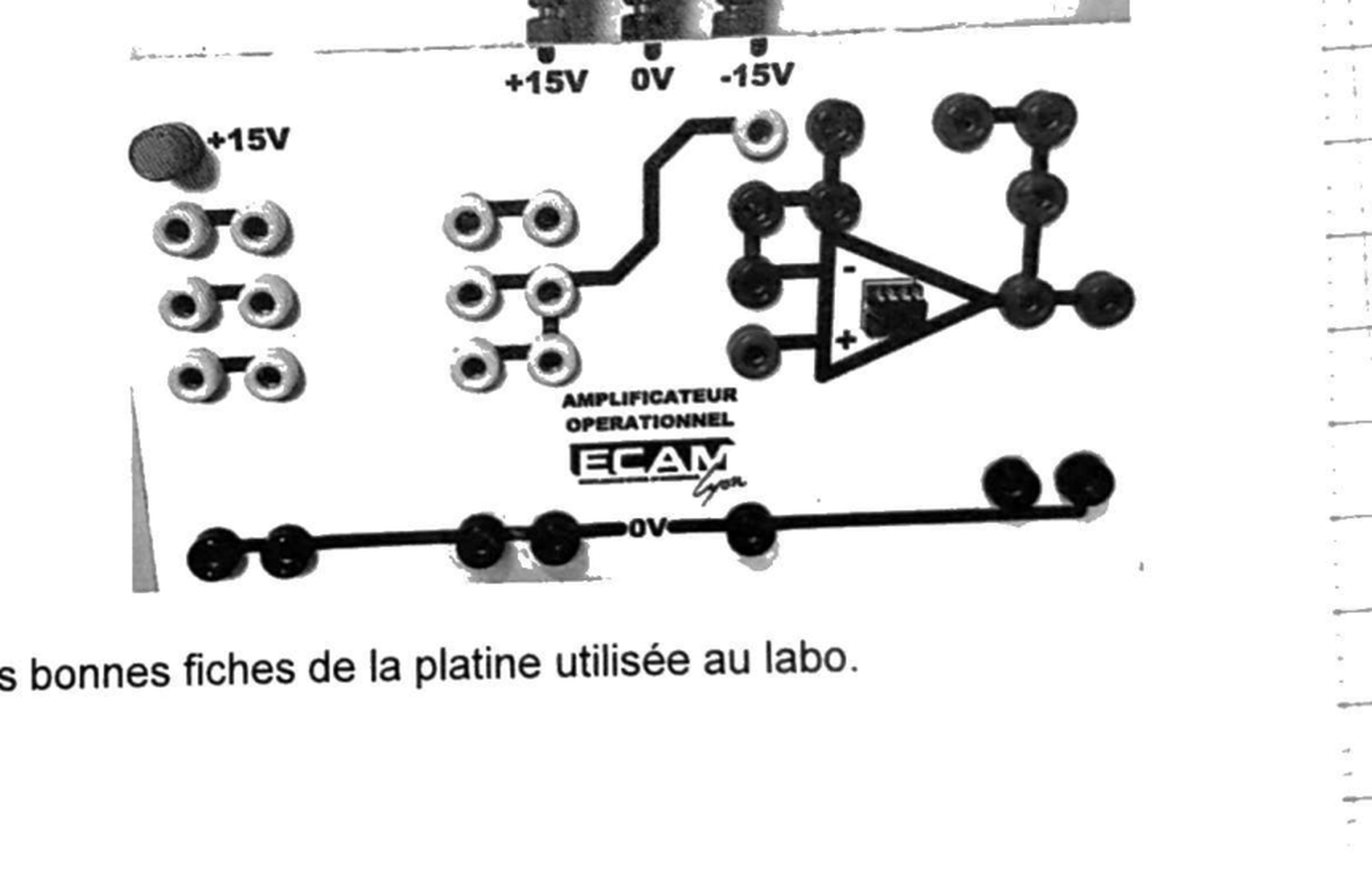 Photo de la platine ALI du labo ECAM, fiches +15V/0V/-15V et symbole du triangle ALI imprimé
